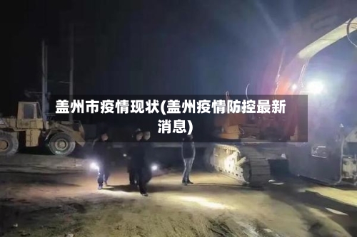 盖州市疫情现状(盖州疫情防控最新消息)-第3张图片