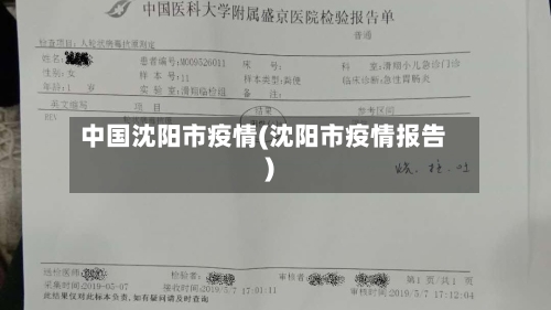中国沈阳市疫情(沈阳市疫情报告)-第2张图片