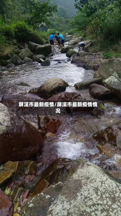 屏溪市最新疫情/屏溪市最新疫情情况-第2张图片