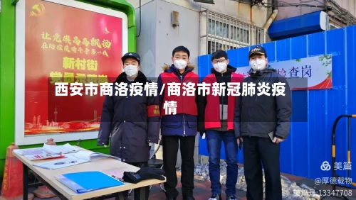西安市商洛疫情/商洛市新冠肺炎疫情-第2张图片