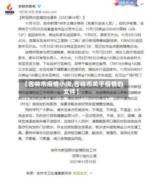 【吉林市疫情小说,吉林市关于疫情的文件】