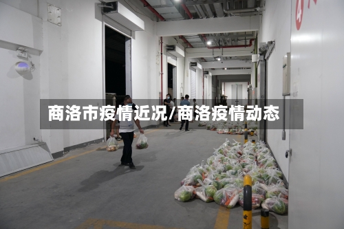 商洛市疫情近况/商洛疫情动态