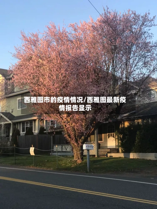 西雅图市的疫情情况/西雅图最新疫情报告显示