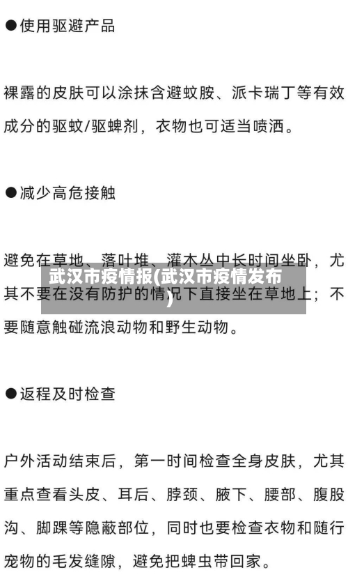 武汉市疫情报(武汉市疫情发布)-第2张图片