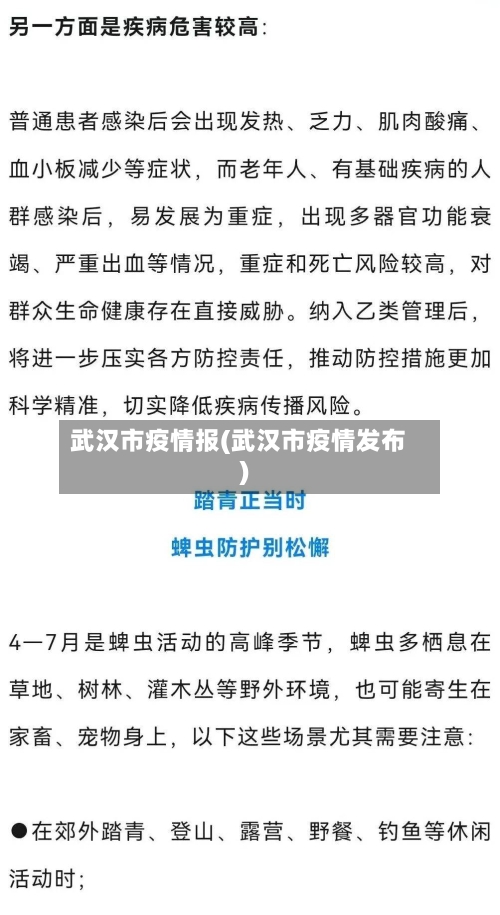 武汉市疫情报(武汉市疫情发布)-第3张图片