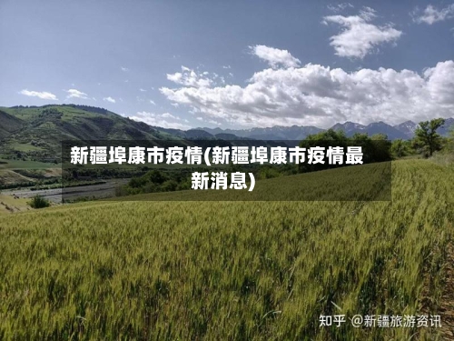 新疆埠康市疫情(新疆埠康市疫情最新消息)-第3张图片