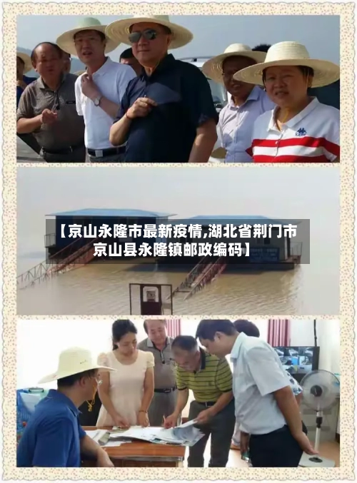 【京山永隆市最新疫情,湖北省荆门市京山县永隆镇邮政编码】-第3张图片