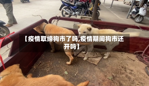 【疫情取缔狗市了吗,疫情期间狗市还开吗】-第2张图片