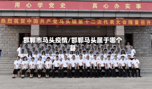 邯郸市马头疫情/邯郸马头属于哪个县-第2张图片