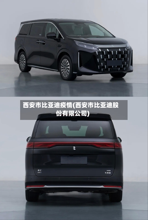 西安市比亚迪疫情(西安市比亚迪股份有限公司)-第2张图片