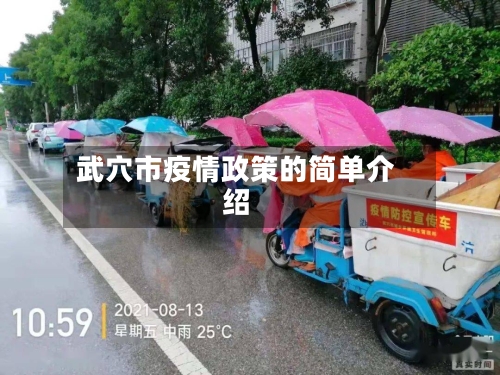 武穴市疫情政策的简单介绍