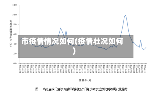 市疫情情况如何(疫情壮况如何)-第2张图片