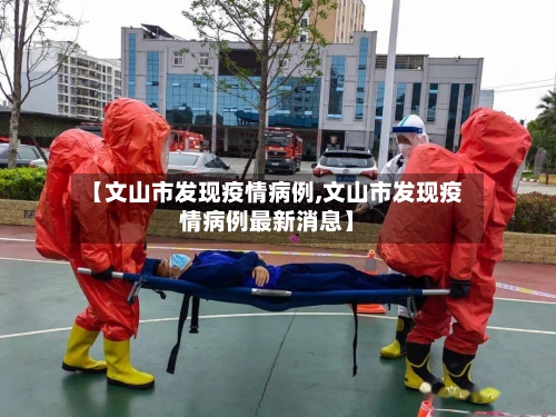 【文山市发现疫情病例,文山市发现疫情病例最新消息】