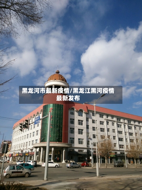 黑龙河市最新疫情/黑龙江黑河疫情最新发布-第2张图片