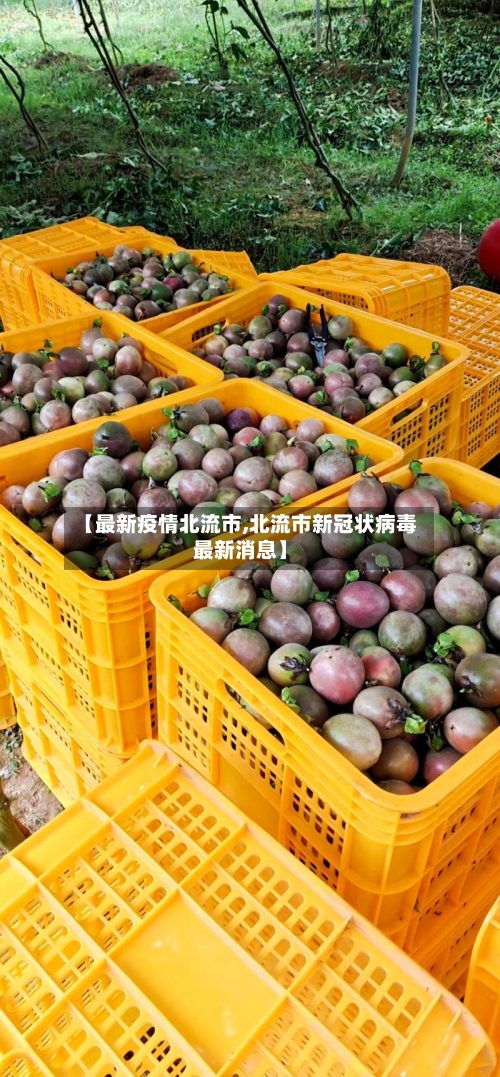 【最新疫情北流市,北流市新冠状病毒最新消息】-第3张图片