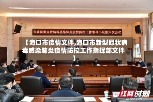 【海口市疫情文件,海口市新型冠状病毒感染肺炎疫情防控工作指挥部文件】