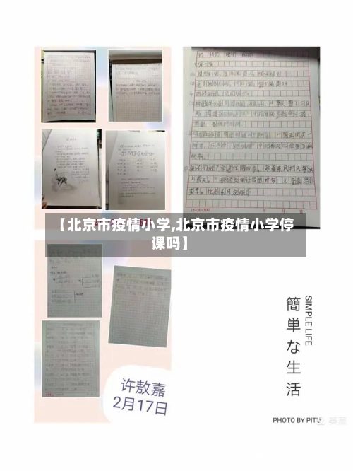 【北京市疫情小学,北京市疫情小学停课吗】-第2张图片