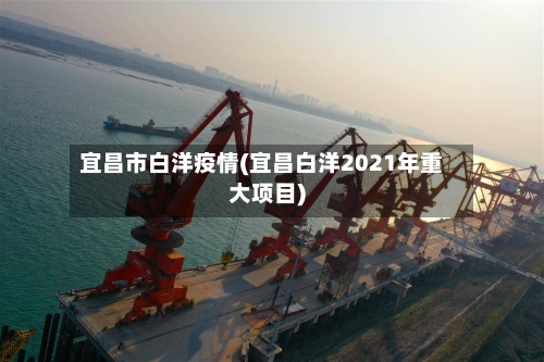 宜昌市白洋疫情(宜昌白洋2021年重大项目)-第2张图片