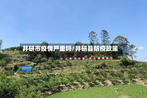 井研市疫情严重吗/井研县防疫政策