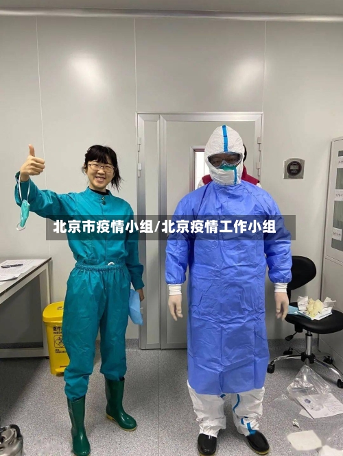 北京市疫情小组/北京疫情工作小组