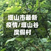 堰山市最新疫情/堰山谷度假村-第2张图片
