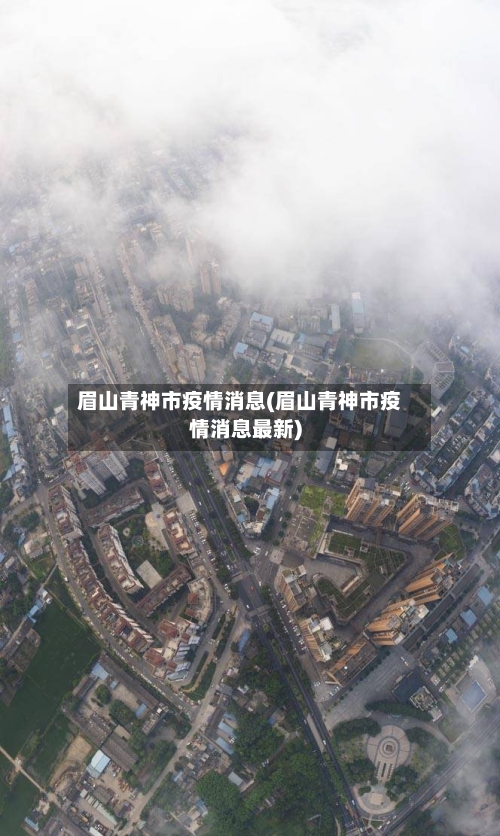 眉山青神市疫情消息(眉山青神市疫情消息最新)-第3张图片