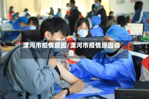 漯河市疫情原因/漯河市疫情原因调查-第2张图片