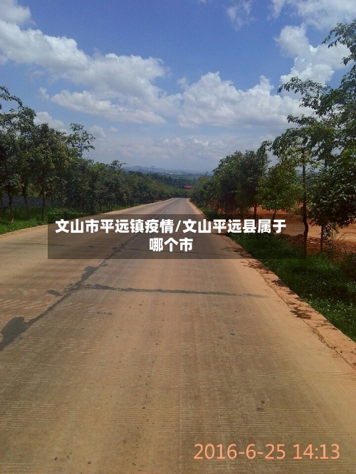 文山市平远镇疫情/文山平远县属于哪个市