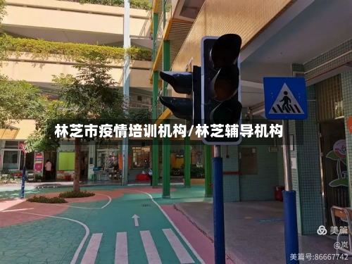 林芝市疫情培训机构/林芝辅导机构-第2张图片
