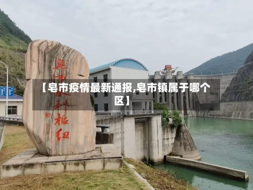 【皂市疫情最新通报,皂市镇属于哪个区】-第3张图片