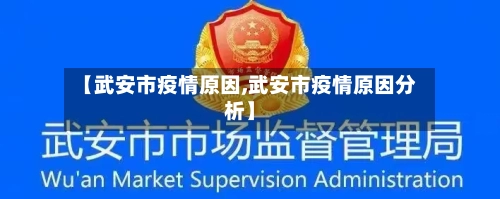 【武安市疫情原因,武安市疫情原因分析】