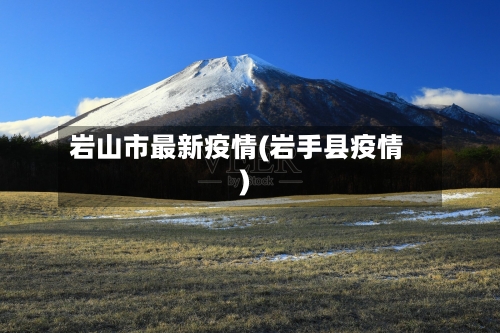 岩山市最新疫情(岩手县疫情)-第3张图片