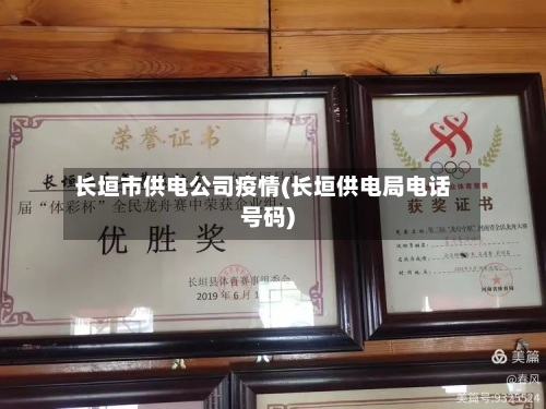 长垣市供电公司疫情(长垣供电局电话号码)-第3张图片