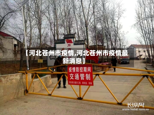 【河北苍州市疫情,河北苍州市疫情最新消息】-第2张图片