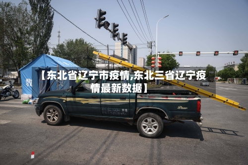 【东北省辽宁市疫情,东北三省辽宁疫情最新数据】-第2张图片