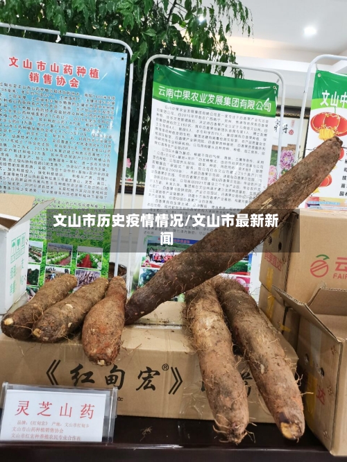 文山市历史疫情情况/文山市最新新闻-第3张图片