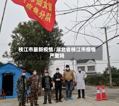 枝江市最新疫情/湖北省枝江市疫情严重吗-第2张图片
