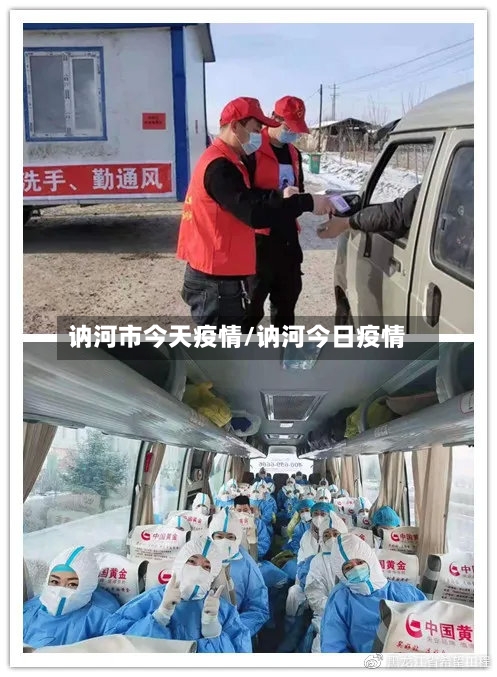 讷河市今天疫情/讷河今日疫情-第2张图片