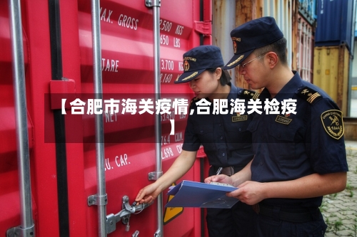 【合肥市海关疫情,合肥海关检疫】-第3张图片