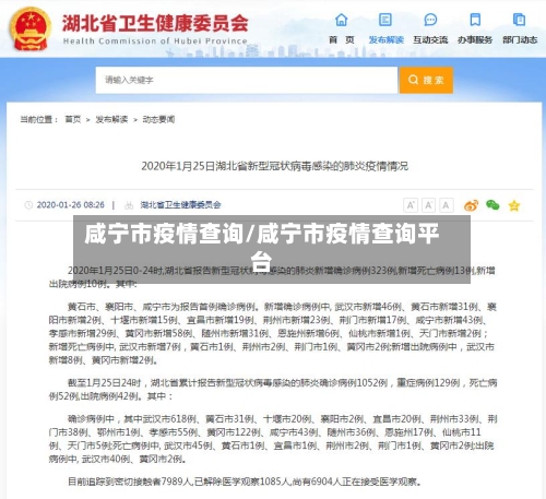 咸宁市疫情查询/咸宁市疫情查询平台