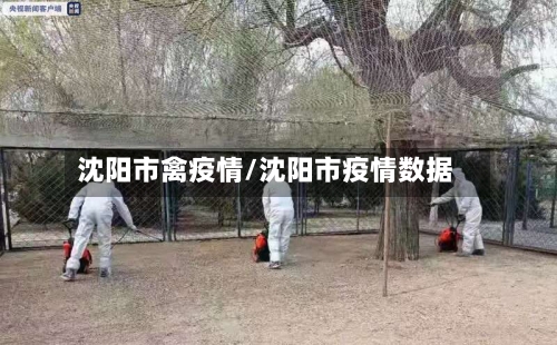 沈阳市禽疫情/沈阳市疫情数据-第1张图片
