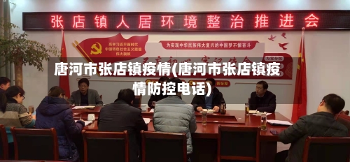 唐河市张店镇疫情(唐河市张店镇疫情防控电话)