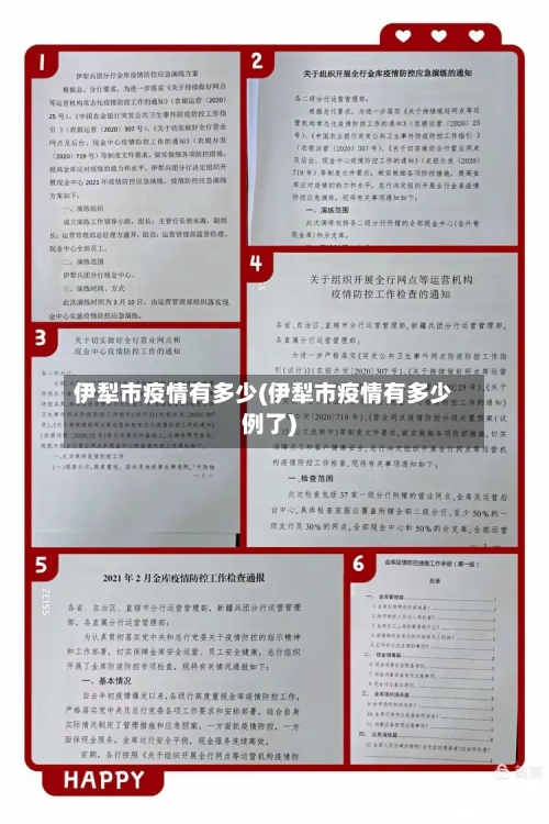 伊犁市疫情有多少(伊犁市疫情有多少例了)-第3张图片