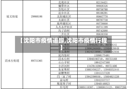 【沈阳市疫情追踪,沈阳市疫情行程】
