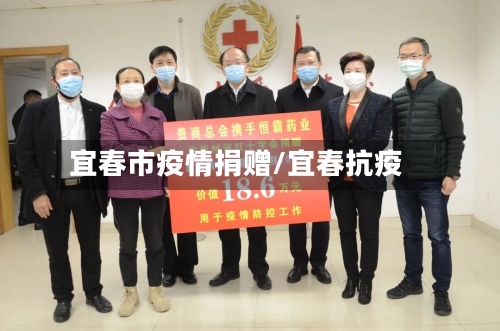 宜春市疫情捐赠/宜春抗疫-第3张图片