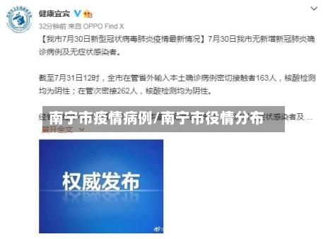 南宁市疫情病例/南宁市役情分布