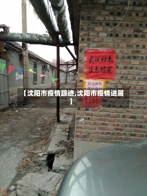【沈阳市疫情踪迹,沈阳市疫情进展】-第2张图片