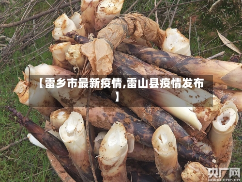 【雷乡市最新疫情,雷山县疫情发布】-第2张图片