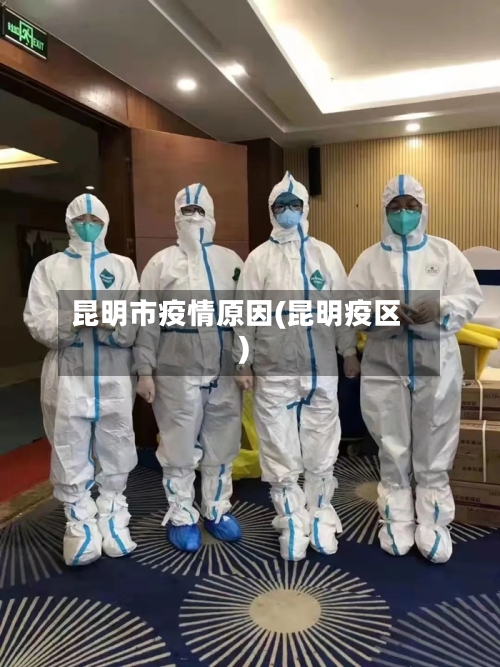 昆明市疫情原因(昆明疫区)
