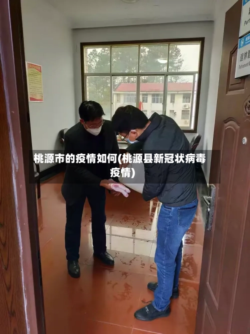 桃源市的疫情如何(桃源县新冠状病毒疫情)-第3张图片